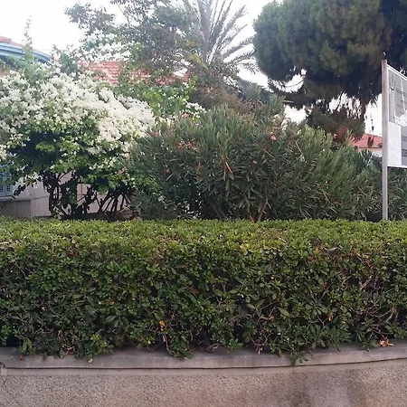 Cip Student's * Limassol